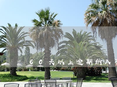 60天以上逾期纳入不良 60天以上逾期纳入不良