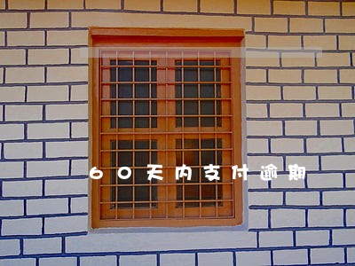 60天内支付逾期 60天内支付逾期
