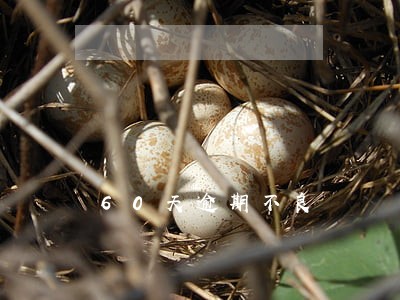 60天逾期不良 60天逾期不良