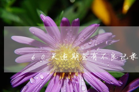 60天逾期会有不良记录吗 60天逾期会有不良记录吗