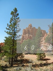 60天逾期公积金