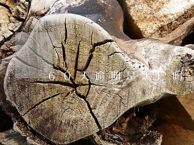 60天逾期是黑户吗