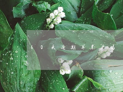 60天逾期算黑户吗 60天逾期算黑户吗