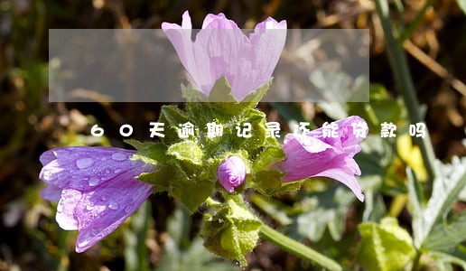 60天逾期记录还能贷款吗