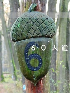 60天逾期贷款 60天逾期贷款