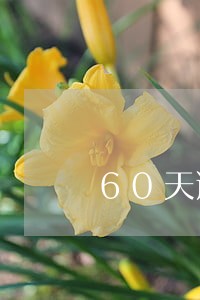 60天逾期贷款纳入不良实施