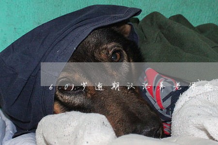 60岁逾期认证养老保险怎么办 60岁逾期认证养老保险怎么办