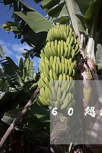60超龄换证逾期时间 60超龄换证逾期时间