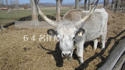 64名律师 64名律师