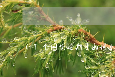 67个网贷逾期了如何办