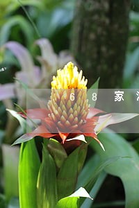 68家涉嫌违法 68家涉嫌违法