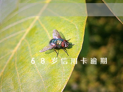 68岁信用卡逾期 68岁信用卡逾期