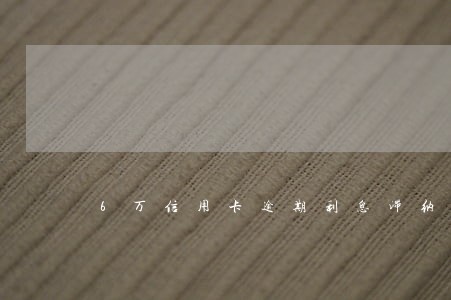 6万信用卡逾期利息滞纳金
