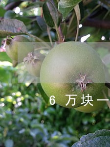 6万块一年期逾期利息 6万块一年期逾期利息