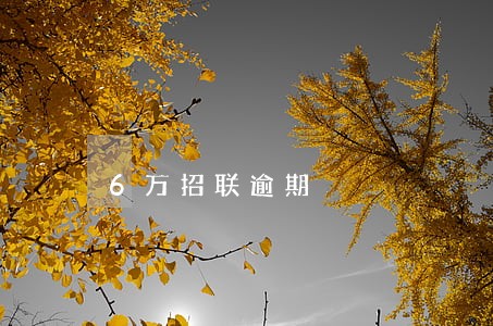6万招联逾期 6万招联逾期