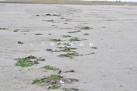 6万网商贷逾期 6万网商贷逾期