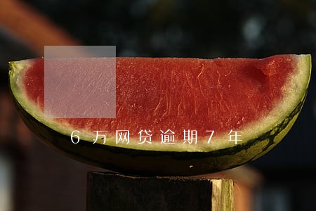 6万网贷逾期7年