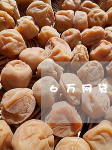 6万网贷逾期房子会拍卖吗 6万网贷逾期房子会拍卖吗