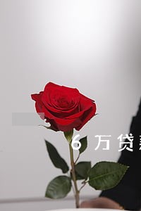 6万贷款逾期两年了 6万贷款逾期两年了