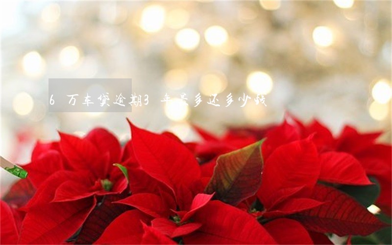 6万车贷逾期3年最多还多少钱 6万车贷逾期3年最多还多少钱