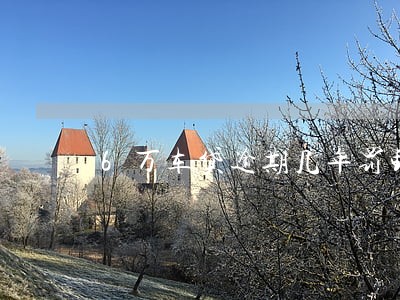 6万车贷逾期几年罚钱吗 6万车贷逾期几年罚钱吗