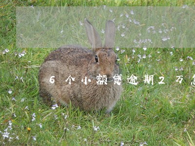 6个小额贷逾期2万怎么办 6个小额贷逾期2万怎么办
