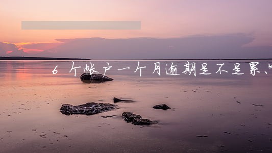 6个帐户一个月逾期是不是累六 6个帐户一个月逾期是不是累六
