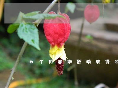 6个月逾期影响房贷吗