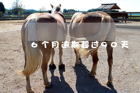 6个月逾期超过90天 6个月逾期超过90天
