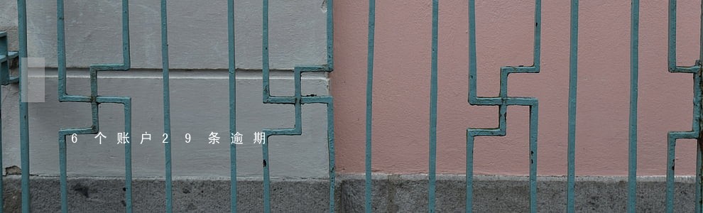 6个账户29条逾期 6个账户29条逾期