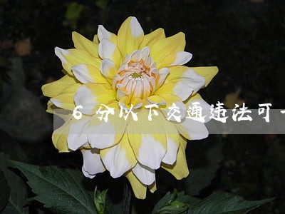 6分以下交通违法可一键完成 6分以下交通违法可一键完成