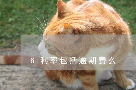 6利率包括逾期费么 6利率包括逾期费么