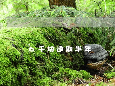6千块逾期半年 6千块逾期半年