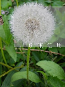 6家信用卡16万逾期还不上 6家信用卡16万逾期还不上