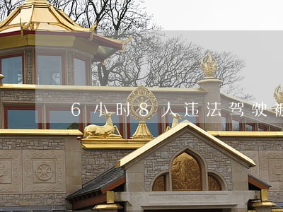 6小时8人违法驾驶被拘留 6小时8人违法驾驶被拘留