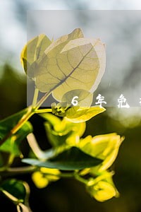 6年免检为啥提示逾期检验 6年免检为啥提示逾期检验