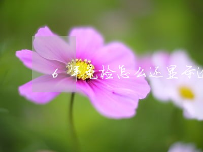 6年免检怎么还显示逾期了 6年免检怎么还显示逾期了