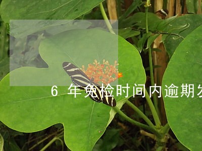 6年免检时间内逾期发生事故 6年免检时间内逾期发生事故