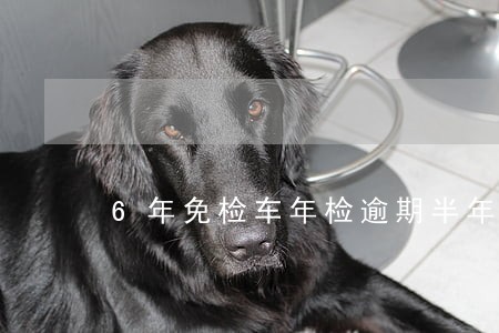 6年免检车年检逾期半年 6年免检车年检逾期半年