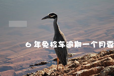 6年免检车逾期一个月要罚款吗 6年免检车逾期一个月要罚款吗