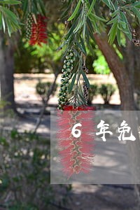 6年免检车逾期多久才罚款 6年免检车逾期多久才罚款