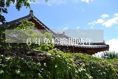 6年免检逾期两年 6年免检逾期两年