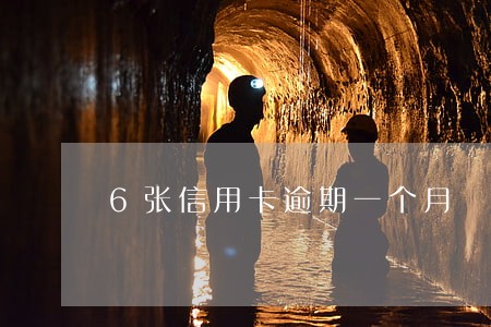 6张信用卡逾期一个月 6张信用卡逾期一个月