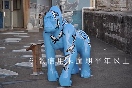 6张信用卡逾期半年以上怎么办