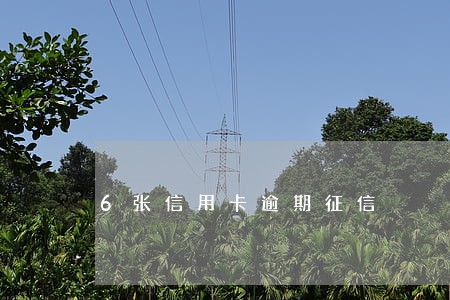6张信用卡逾期征信 6张信用卡逾期征信