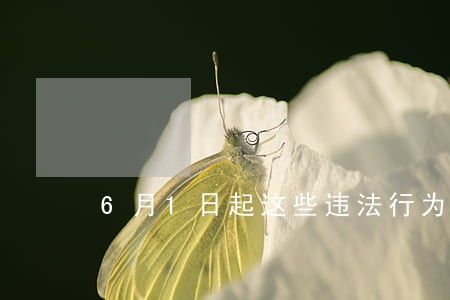 6月1日起这些违法行为