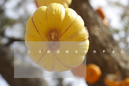 6月份借呗逾期能申请二次分期吗