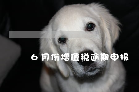 6月份增值税逾期申报