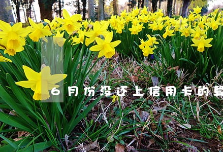 6月份没还上信用卡的算逾期吗