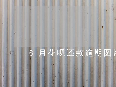 6月花呗还款逾期图片 6月花呗还款逾期图片
